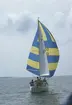 Albin Viggen seglar för spinnaker.