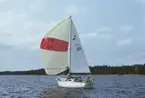 Albin Viggen seglar för spinnaker.