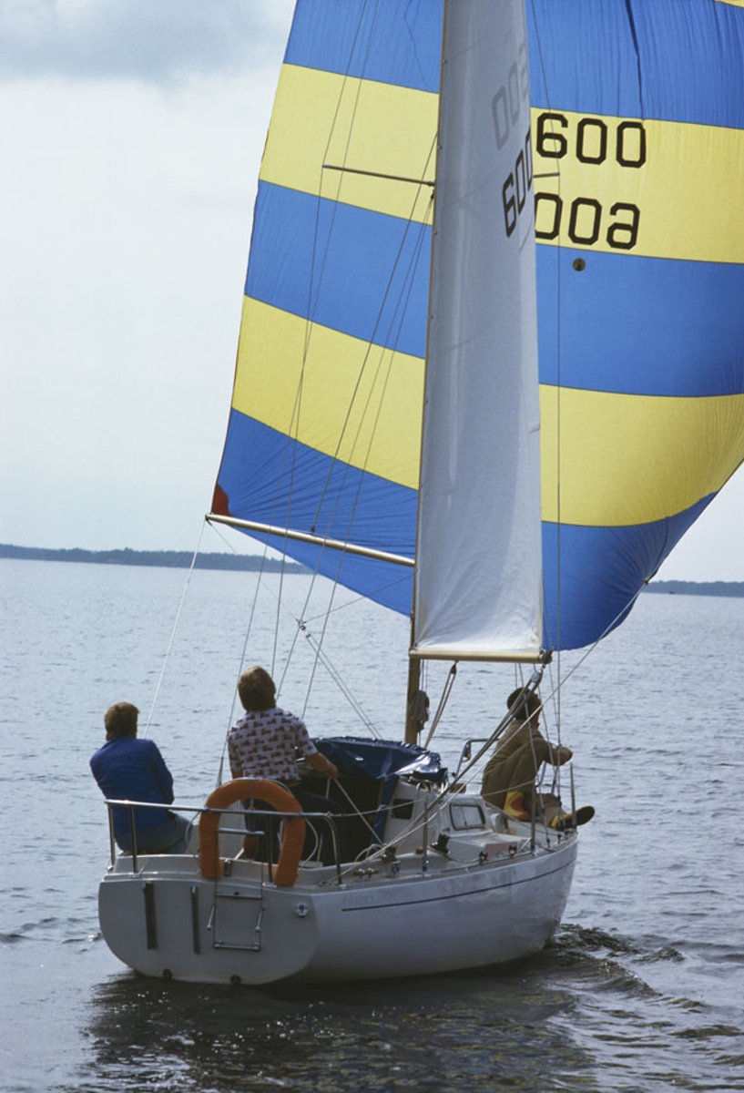 Albin Viggen seglar för spinnaker.