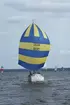 Albin Viggen seglar för spinnaker.