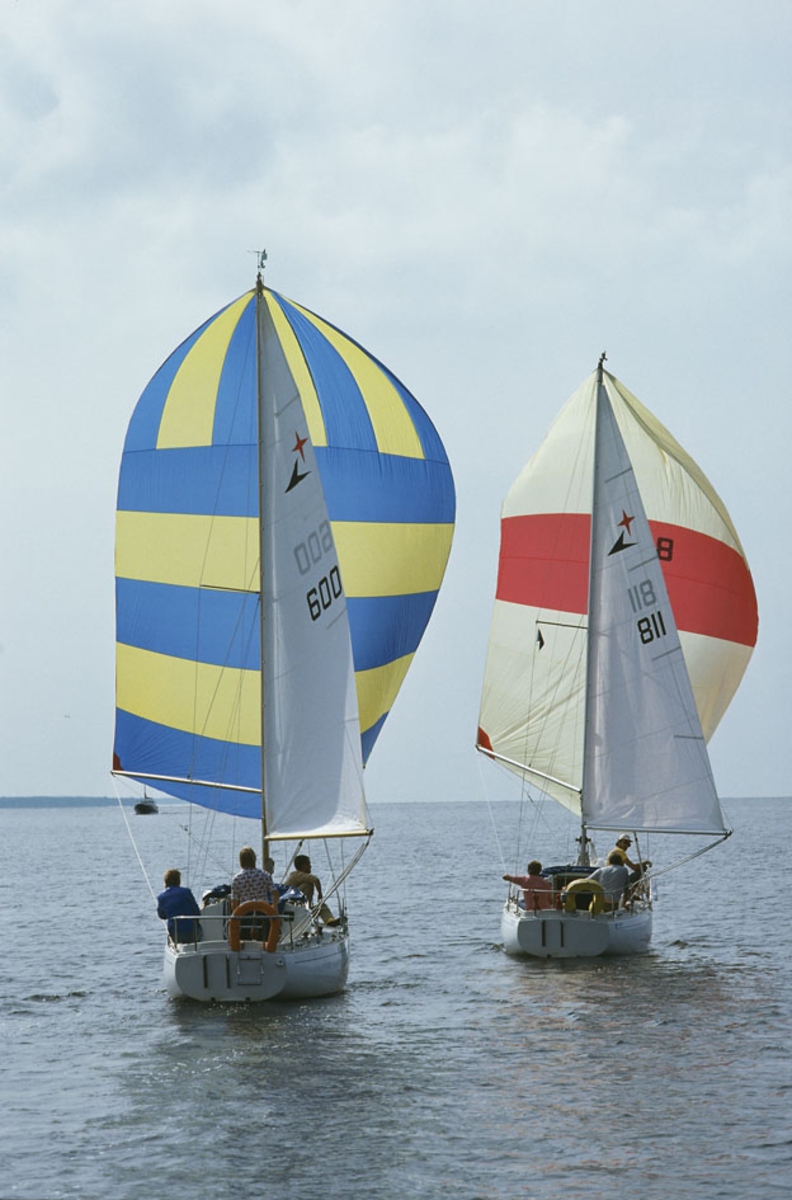 Två Albin Viggen seglar för spinnaker