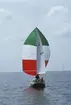 En Albin Viggen seglar för spinnaker.