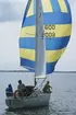 En Albin Viggen seglar för spinnaker.