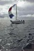 En Albin Vega seglar för spinnaker.