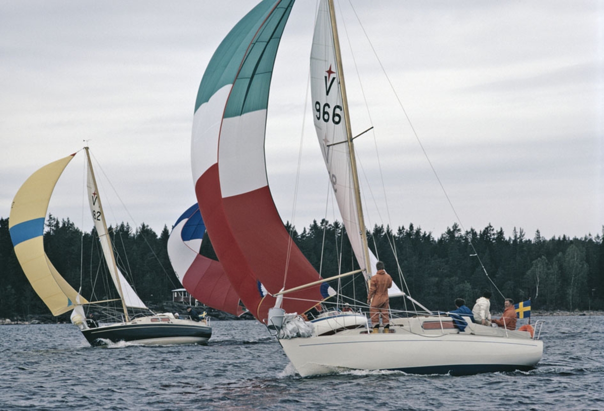 Kappsegling med Albin Vega.
