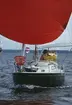 En Albin Viggen seglar för spinnaker.