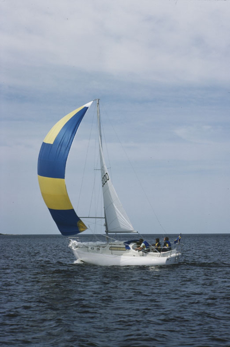 Albin Vega seglar för spinnaker.
