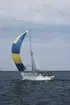 Albin Vega seglar för spinnaker.