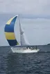 Albin Vega seglar för spinnaker.