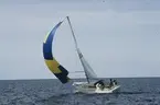 Albin Vega seglar för spinnaker.