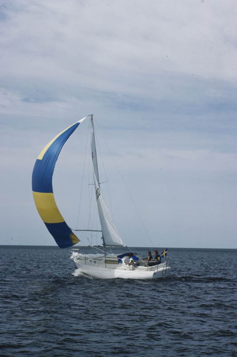 Albin Vega seglar för spinnaker.