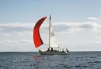 En Albin Vega seglar för spinnaker,