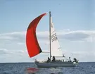 Albin Vega seglar för spinnaker.