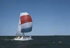 En Albin Vega seglar för spinnaker.