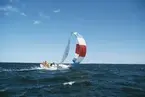 En Albin Vega seglar för spinnaker.