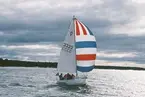 En Albin Vega seglar för spinnaker.