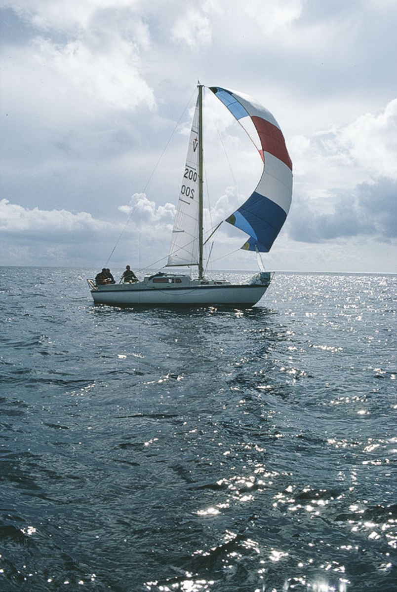 En Albin Vega seglar på Vänern.
