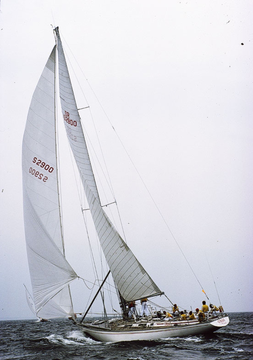 Swan 65 ORM.