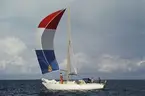 Albin Singoalla seglar för spinnaker.