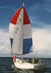 Albin Singoalla seglar för spinnaker.