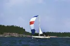Albin Singoalla seglar för spinnaker.