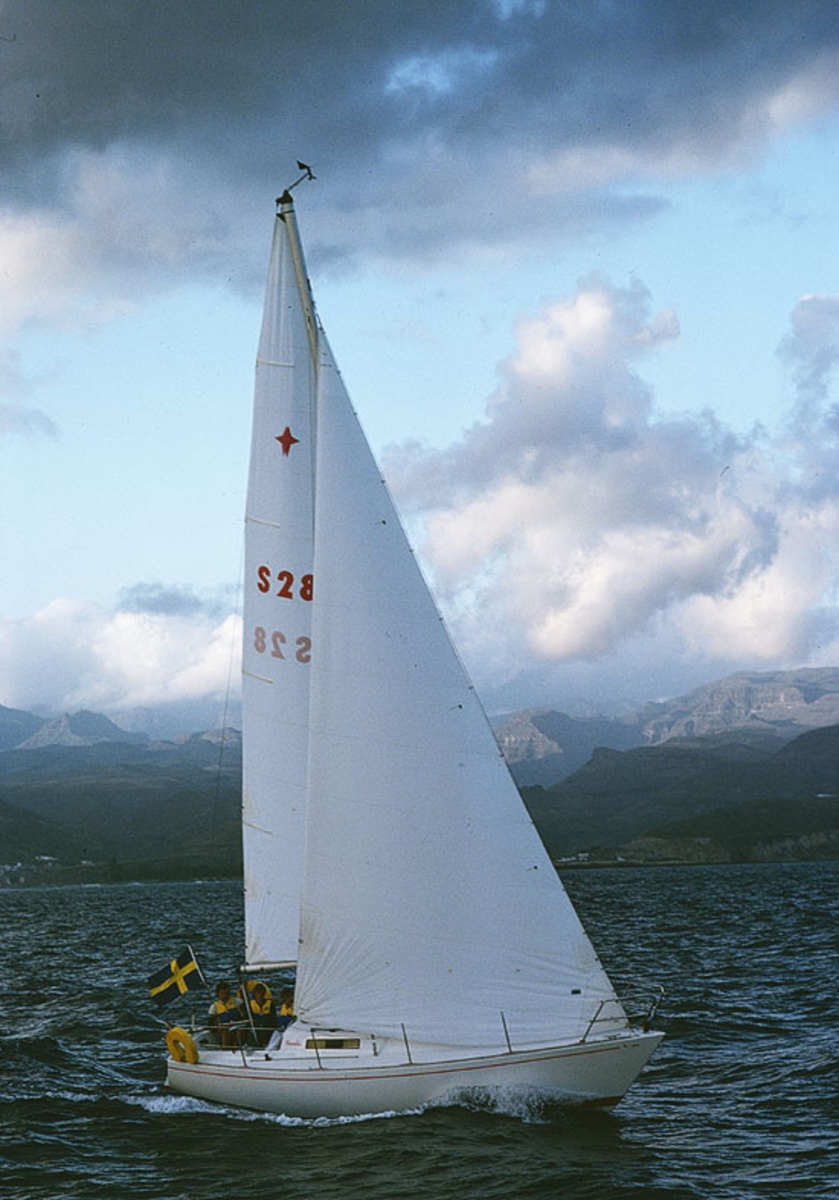 Albin Cumulus