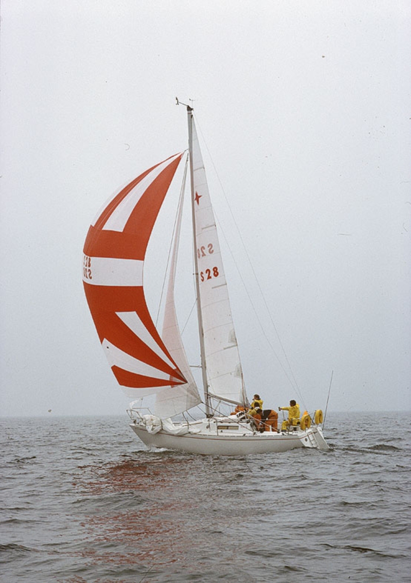Albin Cumulus