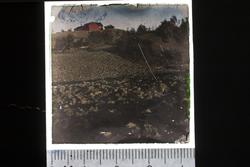 Harald Renbjørs bilder i Autochrome