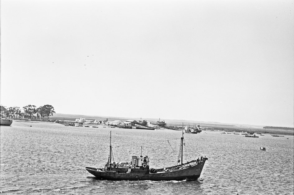 Foto