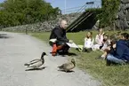 Marinarkeologisk pedagogik, maj 2008.
Marcus har fördykt.