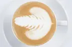 Latteart av Kaveh Azizian (Barista Akademien)