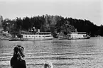 Fotografi vid Dufnäs holme, nära Fisksätra 1948-1949 ca