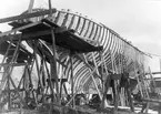 Negativ hos fotograf Algot Thörn, Sjötorp.
Spantresning till fiskebåt för Ryssland 1950, akterskepp