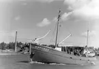 Fiskebåt för Ryssland på leveransprovtur 1950.