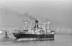 Ägare:/1947-71/: India Steamship Co. Ltd. Hemort: Calcutta.
