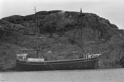 På väg mot Island - om det bohuslänska sillfisket på Island