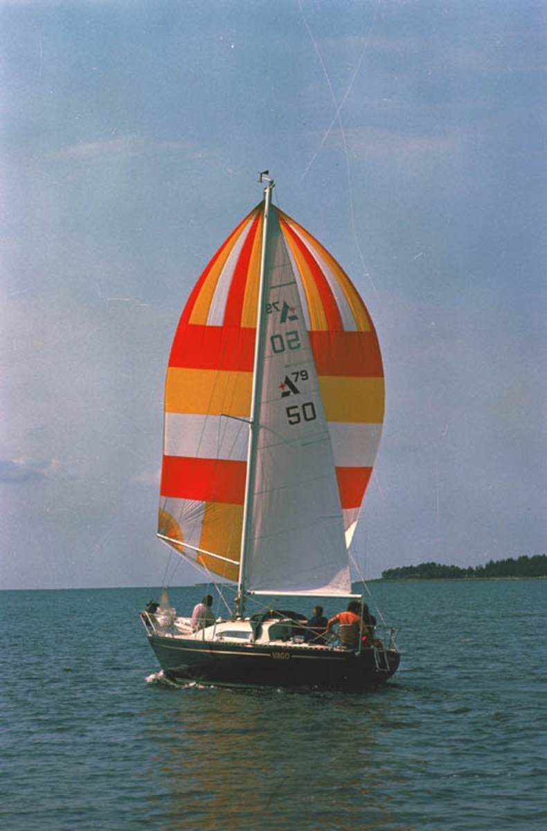 Albin 79