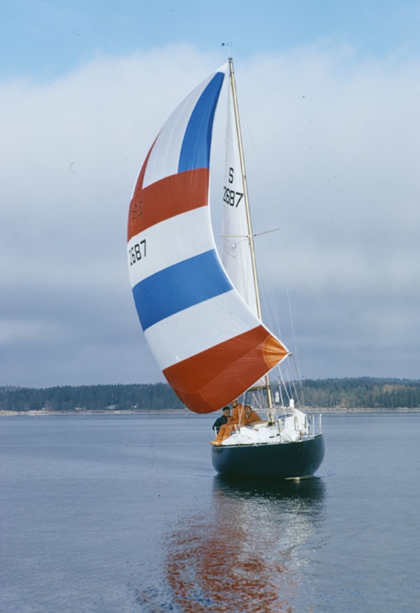 Albin 79