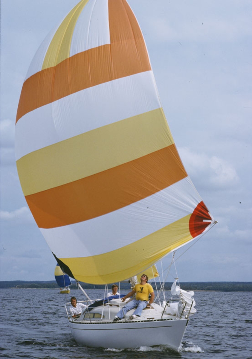 Albin 79