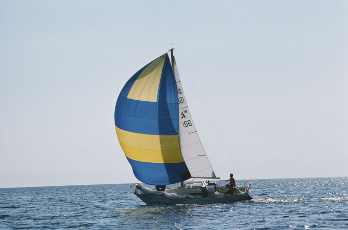 Albin 79