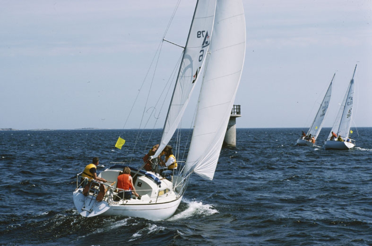 Albin 79