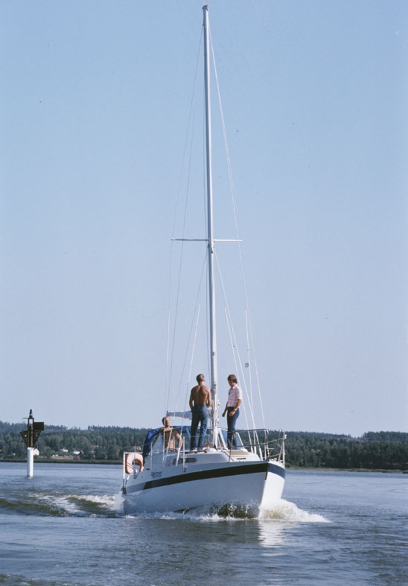 Albin 82 MS