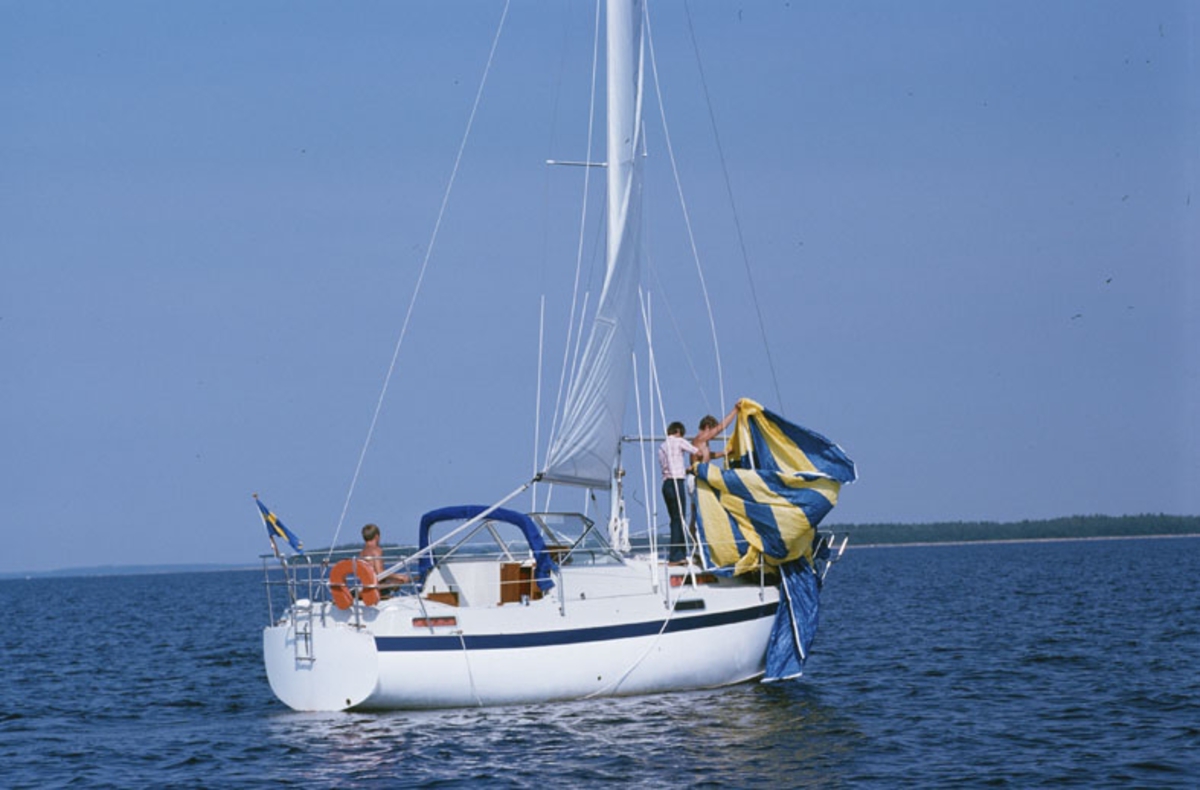 Albin 82 MS