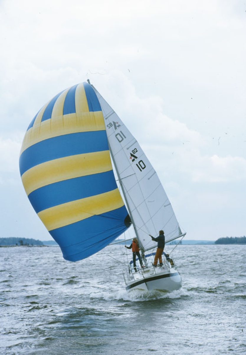 Albin 82 MS