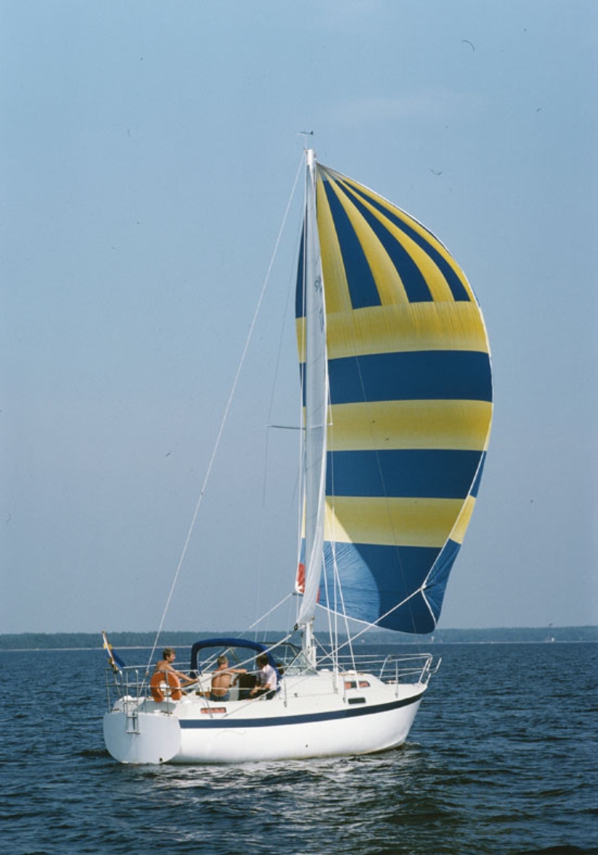 Albin 82 MS
