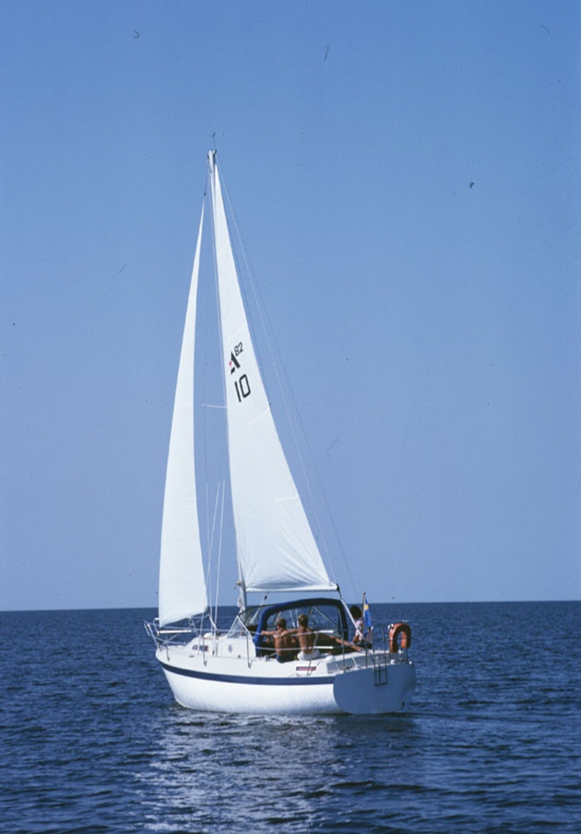 Albin 82 MS