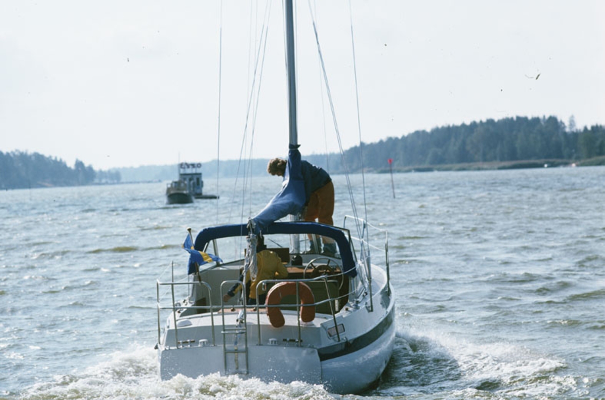 Albin 82 MS