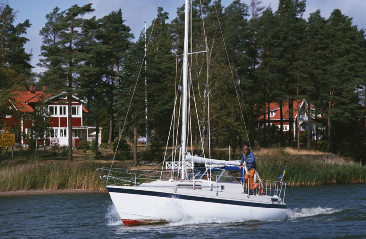 Albin 82 MS