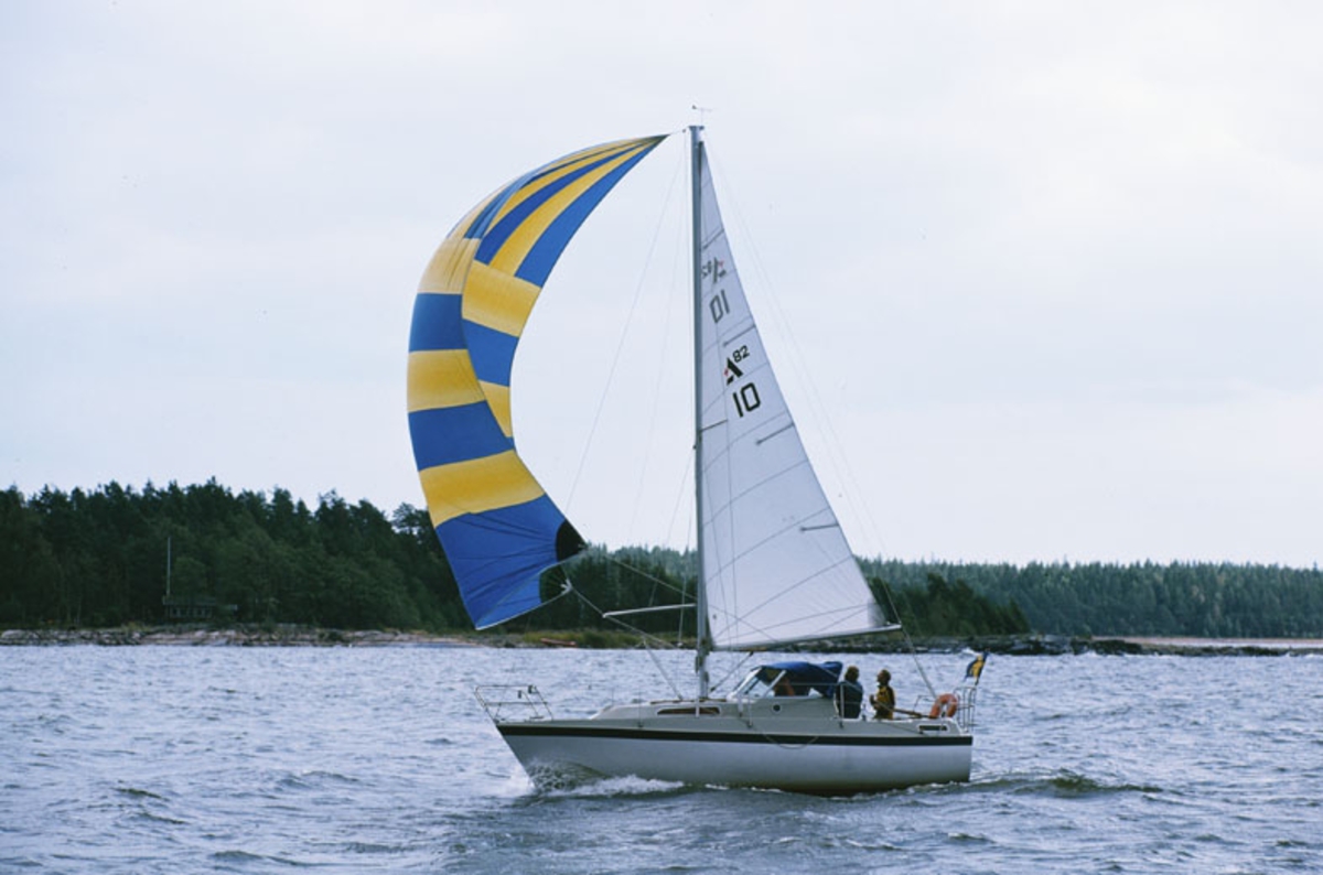 Albin 82 MS