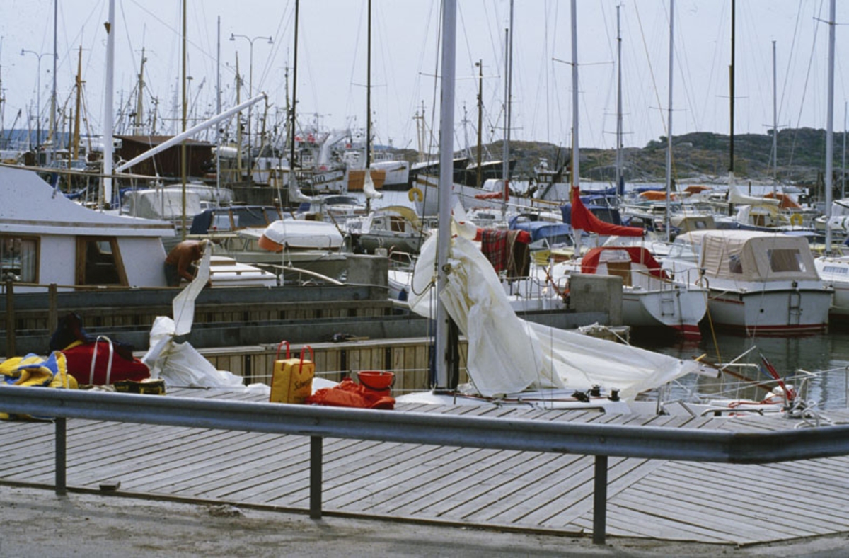 Fritids- och fiskebåtar i hamn. I förgrunden en Albin 78 Cirrus.